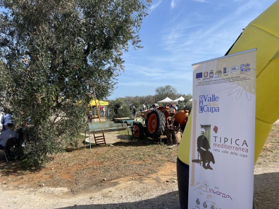 “L’olivicoltura nel Salento non è morta”. L’esempio di Agro a Surbo. “Tipica Mediterranea”, cobranding e sostenibilità per vincere la sfida del mercato - Corriere Salentino