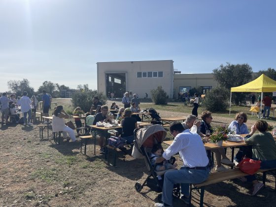 “L’olivicoltura nel Salento non è morta”. L’esempio di Agro a Surbo. “Tipica Mediterranea”, cobranding e sostenibilità per vincere la sfida del mercato - Corriere Salentino