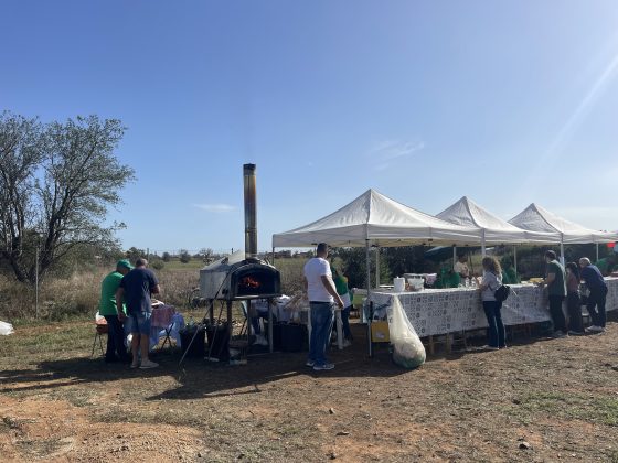 “L’olivicoltura nel Salento non è morta”. L’esempio di Agro a Surbo. “Tipica Mediterranea”, cobranding e sostenibilità per vincere la sfida del mercato - Corriere Salentino