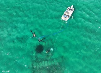 “Il Porto ritrovato”: archeologia dei paesaggi di mare a “Le Cesine”, domenica 8 ottobre snorkeling e presentazione ricerche archeologiche