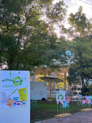 EcOnda verde - flash mob ecologico con 500 studenti - Corriere Salentino