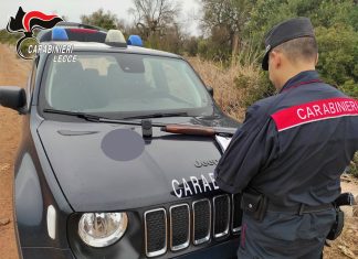 A caccia di allodole con richiami vietati, denunciato un cacciatore nelle campagne di Nardò