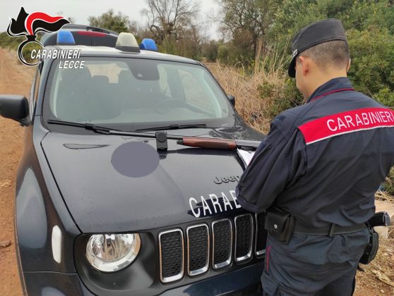A caccia di allodole con richiami vietati, denunciato un cacciatore nelle campagne di Nardò - Corriere Salentino