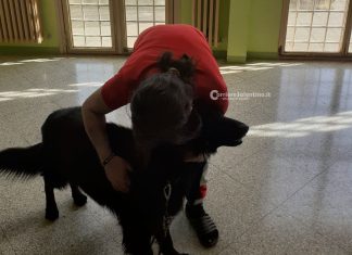 In carcere non riceve visite, poi arriva il suo cane