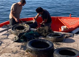 Il Mare dentro. Giornata di pulizia dei fondali cesarini in memoria di Dino Basile, pescatore