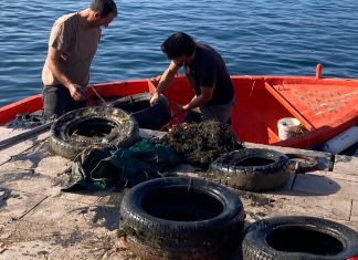 Il Mare dentro. Giornata di pulizia dei fondali cesarini in memoria di Dino Basile, pescatore
