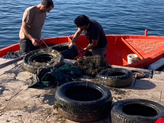 Il Mare dentro. Giornata di pulizia dei fondali cesarini in memoria di Dino Basile, pescatore - Corriere Salentino