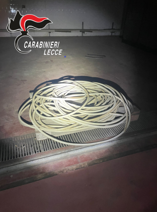 Tentano il furto di cavi in un'azienda, uno dei ladri cade nel pozzo: in tre ai domiciliari, caccia al quarto complice - Corriere Salentino