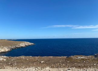 Baia Orte, Rapa Iti Società Agricola S.r.l. smentisce le false notizie: “La zona è sempre stata fruibile dalle strade pubbliche”