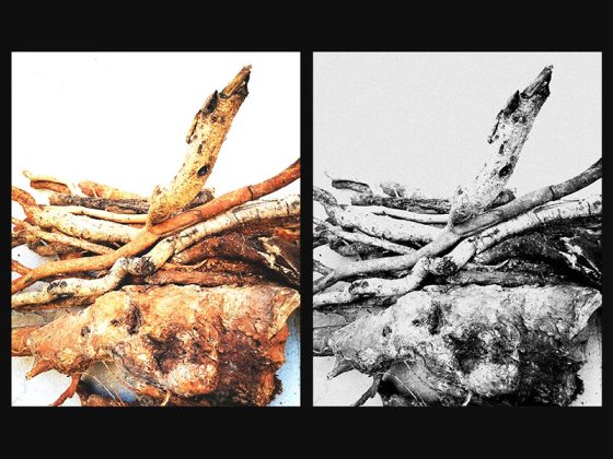 “Le forme del tempo” dell’artista pugliese Teresa Vella da domenica al MUST di Lecce - Corriere Salentino