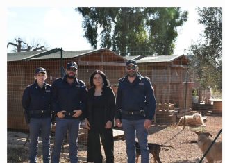 I poliziotti di Taurisano rispondono all’appello dei volontari: consegnata fornitura di crocchette per gli ospiti del rifugio