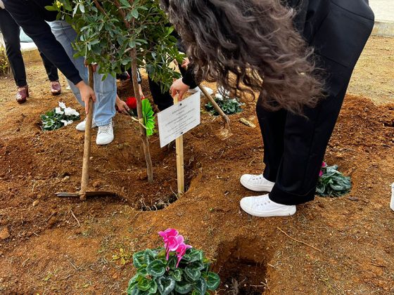 “Giornata Nazionale degli Alberi 2023”. Al Meucci di Casarano un nuovo albero per la speranza - Corriere Salentino