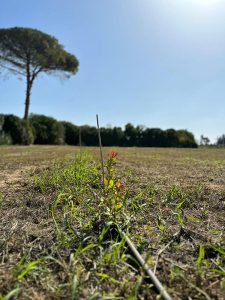 L’Istituto comprensivo “Salvatore Colonna” di Monteroni in visita al Parco della conoscenza - Corriere Salentino