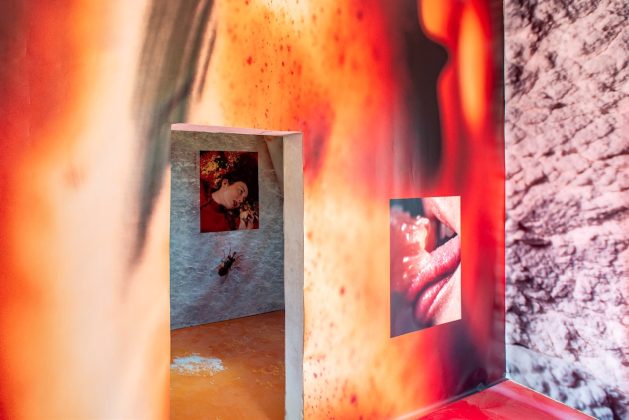 "Yeast Photo Festival": 18.000 presenze per l'edizione 2023 - Corriere Salentino