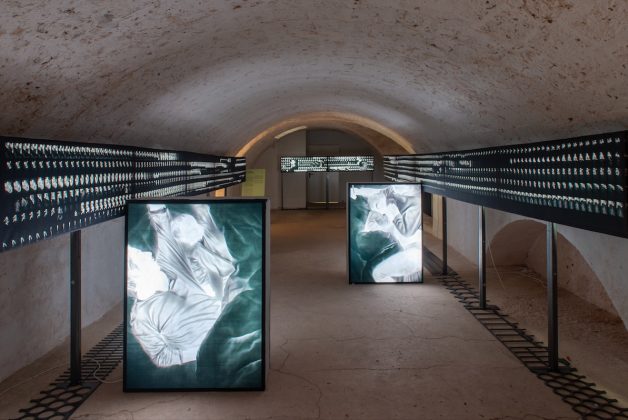 "Yeast Photo Festival": 18.000 presenze per l'edizione 2023 - Corriere Salentino