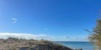 Home - Corriere Salentino