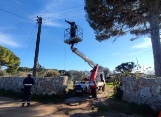 Si staccano i cavi elettrici e lo colpiscono mentre fa una passeggiata nel suo terreno: contusioni per un 50enne
