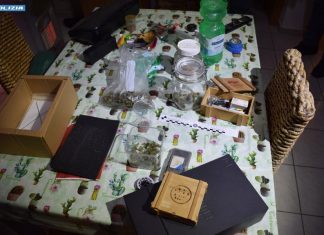 In casa una serra di marijuana, altra droga nel congelatore: 39enne ai domiciliari