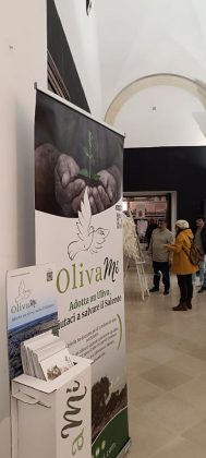 Giornata mondiale olivo, a Lecce la mostra collettiva “Post fata resurgo” - Corriere Salentino