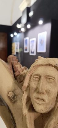 Giornata mondiale olivo, a Lecce la mostra collettiva “Post fata resurgo” - Corriere Salentino