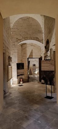 Giornata mondiale olivo, a Lecce la mostra collettiva “Post fata resurgo” - Corriere Salentino