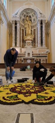 Giornata mondiale olivo, a Lecce la mostra collettiva “Post fata resurgo” - Corriere Salentino