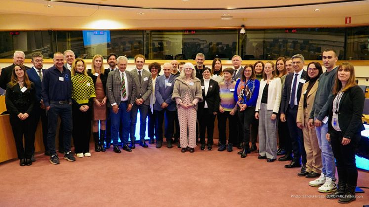 Riconoscimento internazionale di grande prestigio per l'Area Marina Protetta Porto Cesareo - Corriere Salentino