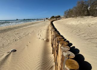 Feste in mare a Porto Cesareo: musica, alcol e minacce alle forze dell’ordine. Scatta l’indagine interforze