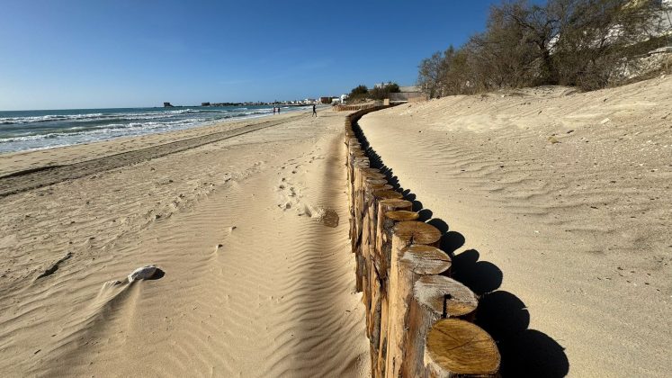 Area Marina Protetta Porto Cesareo, partito il monitoraggio via terra e via aerea - Corriere Salentino
