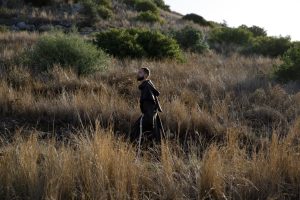 Il "cristianissimo" Francesco in un musical - Corriere Salentino