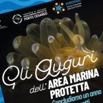 L’AMP di Porto Cesareo festeggia i traguardi raggiunti e brinda con i migliori auspici per il prossimo anno - Corriere Salentino