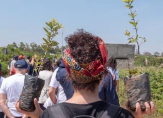 Una domenica nell’uliveto di Torre Guaceto per fare del bene alla natura
