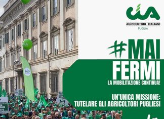 Tutta la Puglia dell’agricoltura a Bari, CIA Puglia: “Cinque priorità per uscire dalla crisi”