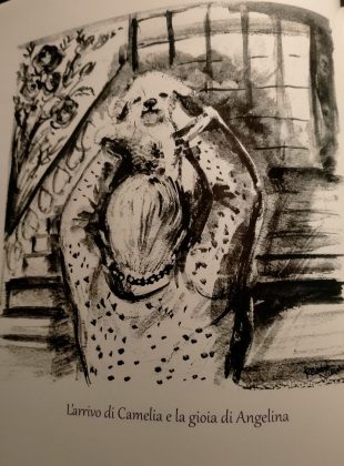 Camelia: una storia vera per tutte le età. Quando vita e scrittura sono le due facce della stessa medaglia - Corriere Salentino