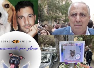 Un monumento da parte di Emilio Colaci come testimonianza dell’antiviolenza sugli animali