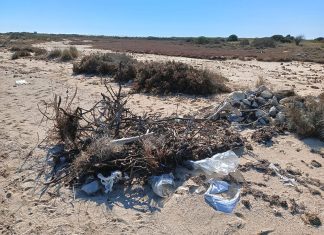 Iplastic: 10 cose da sapere sulle microplastiche e nanoplastiche in mare