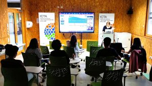 Iplastic: 10 cose da sapere sulle microplastiche e nanoplastiche in mare - Corriere Salentino