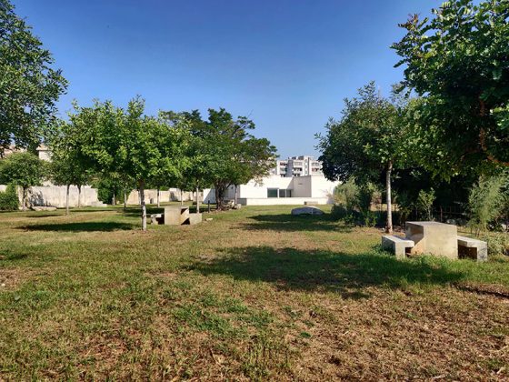 Pubblicato il bando di gara per la locazione del bar interno al Parco delle Cave - Corriere Salentino