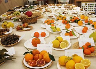 Una frugale abbondanza: la biodiversità invernale in mostra Tiggiano