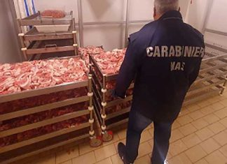 Maxi sequestro di alimenti in 3 attività: scoperti oltre 5 quintali di cibo privi di tracciabilità