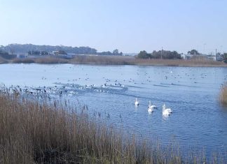 Segnaletica, accessibilità e isole ecologiche, in arrivo nuove dotazioni per Rauccio