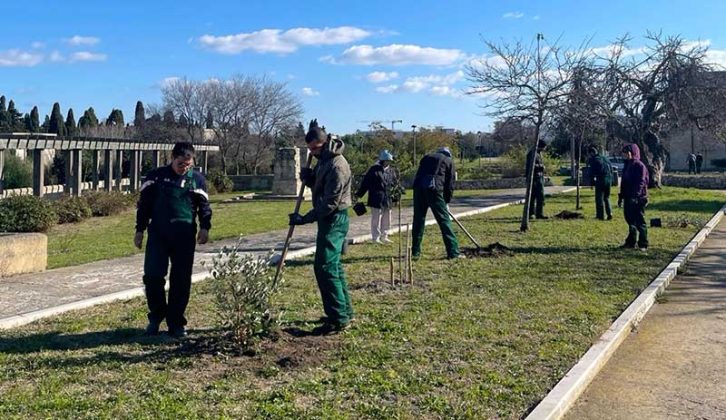 Parco di Belloluogo, nuovi alberi e arbusti - Corriere Salentino