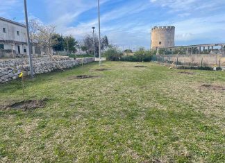 Parco di Belloluogo, nuovi alberi e arbusti