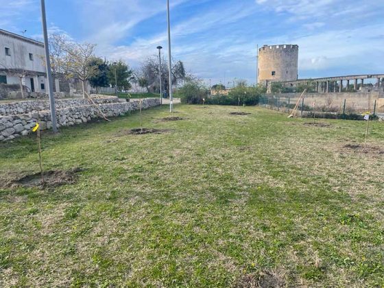 Parco di Belloluogo, nuovi alberi e arbusti - Corriere Salentino