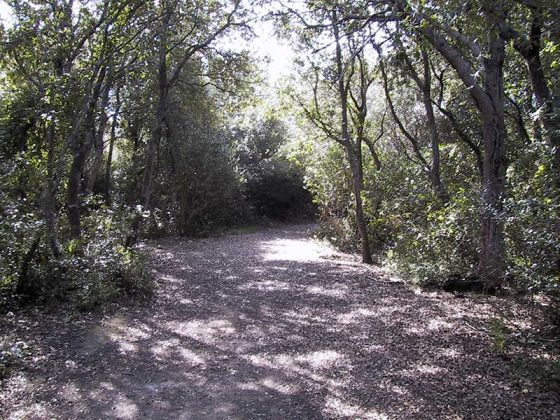 Segnaletica, accessibilità e isole ecologiche, in arrivo nuove dotazioni per Rauccio - Corriere Salentino