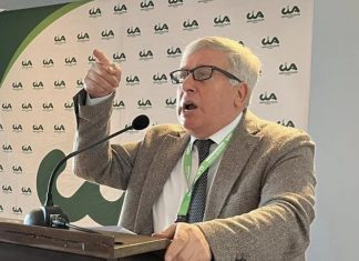 Nuovo ceppo della Xylella, Cia Puglia: “Rischio mortale per l’agricoltura”