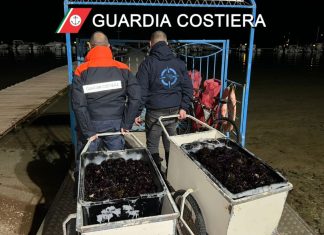 Pesca di polpi e ricci nell’area marina protetta: scattano sequestri, denuncia e multe