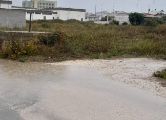 Il consigliere Greco : “In via Tronto i cittadini reclamano servizi e pulizia. Nel 2024 ci sono ancora strade di serie b”