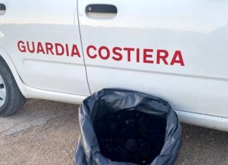 Pesca illegale di ricci sotto costa: bloccato e multato pescatore abusivo
