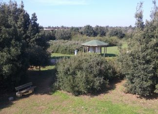 A Rauccio, una domenica con le api